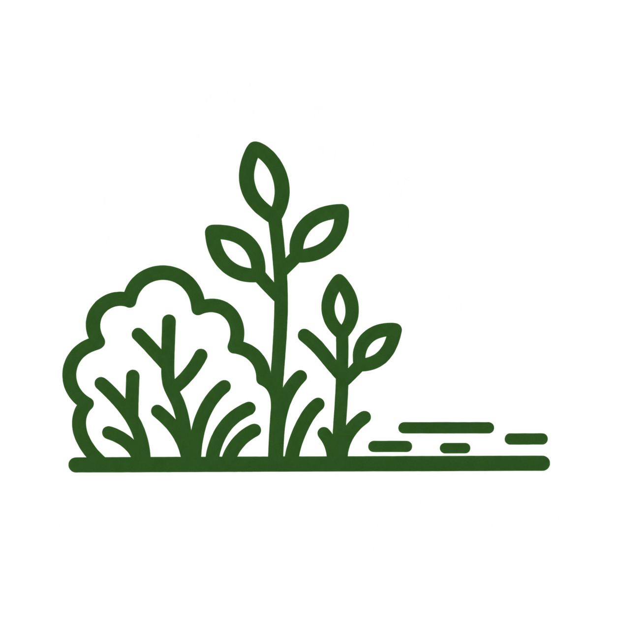 Land clearing and brush removal